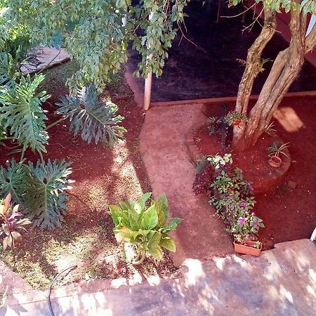 La Cautiva Otel Puerto Iguazú Dış mekan fotoğraf