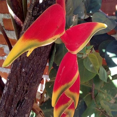 La Cautiva Otel Puerto Iguazú Dış mekan fotoğraf
